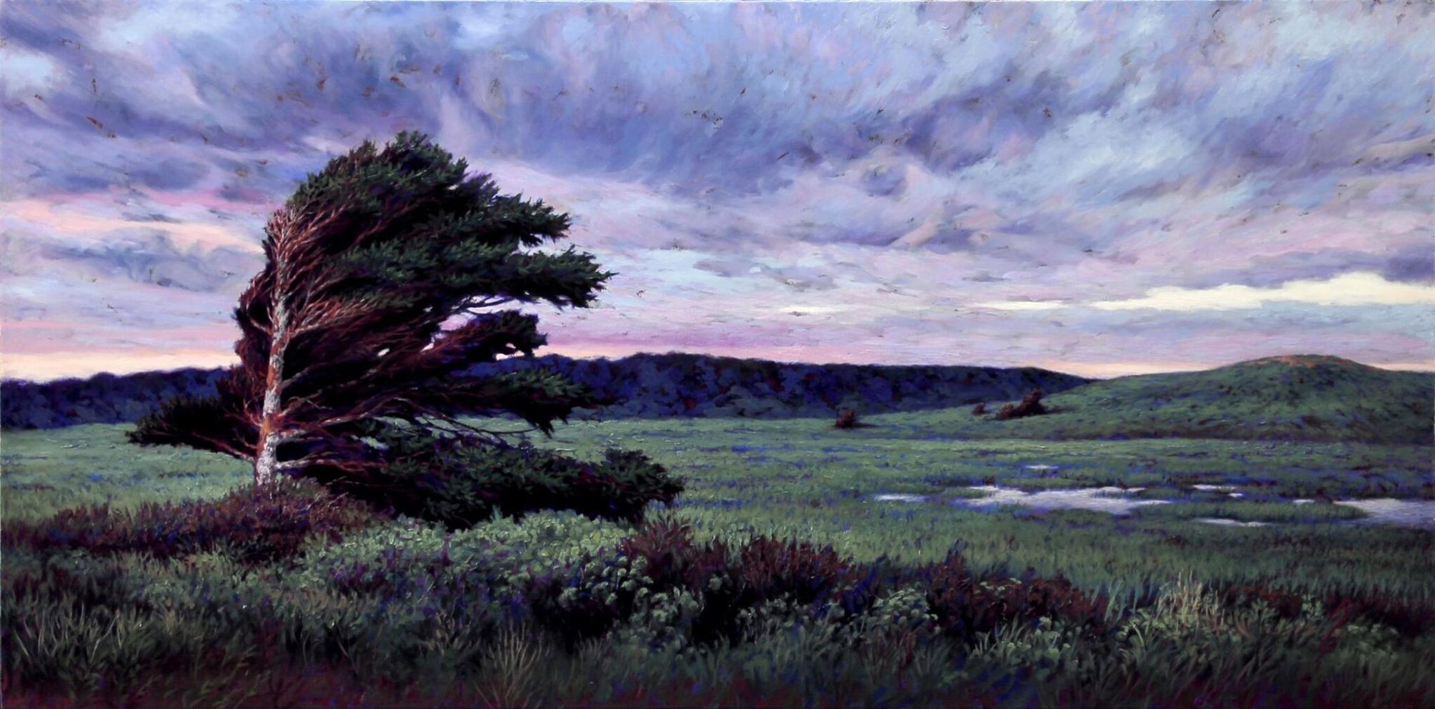 DVSA Art Auction: Getting to the art of the matter