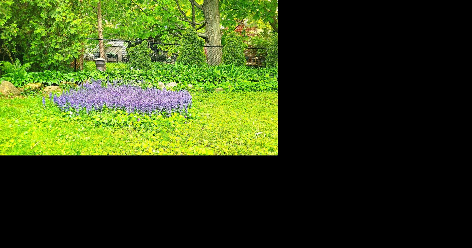 My very own bugler’s lament