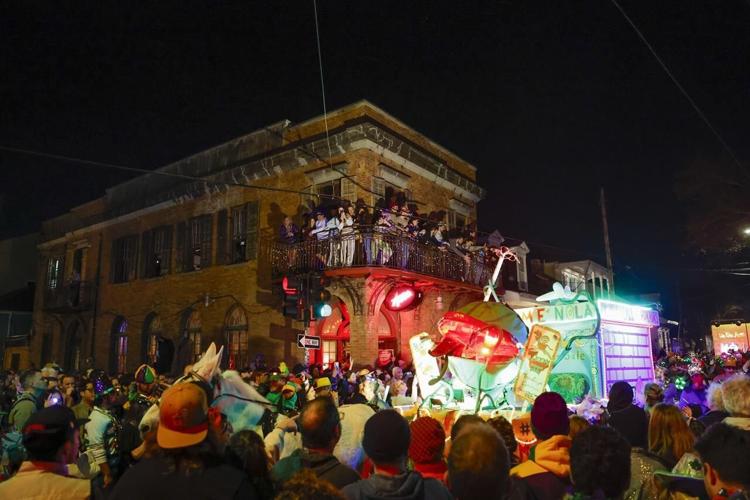 carnival mardi gras room 5504