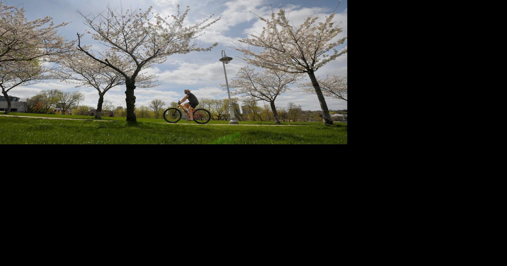 Expect more wild temperature swings this week in Hamilton