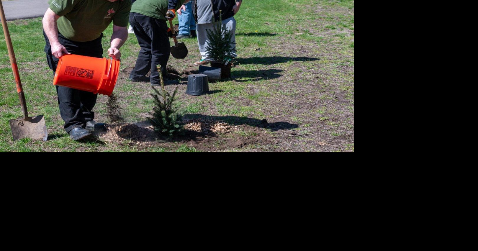 Tree planting events planned for Earth Week