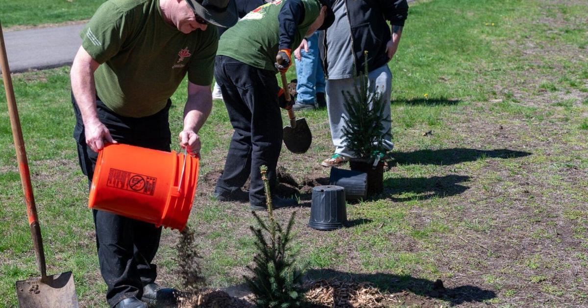 Root For Earth Week Tree planting events planned for Earth Week