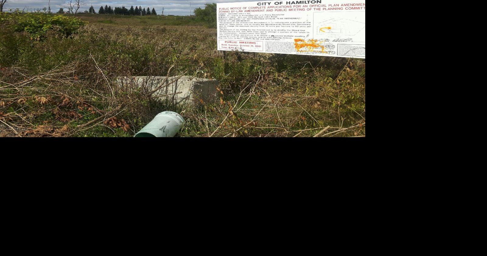 Hamilton planning committee rejects storage application