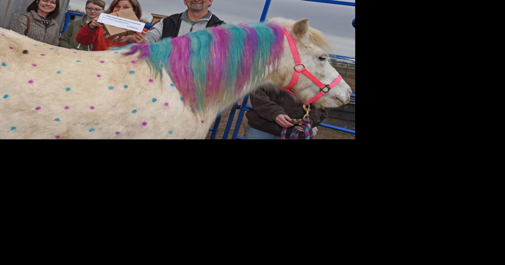 Author donation boosts Sheffield pony rescue operation