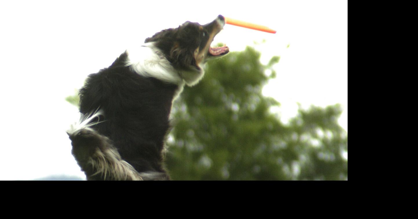 Hamilton opens east end leashfree area