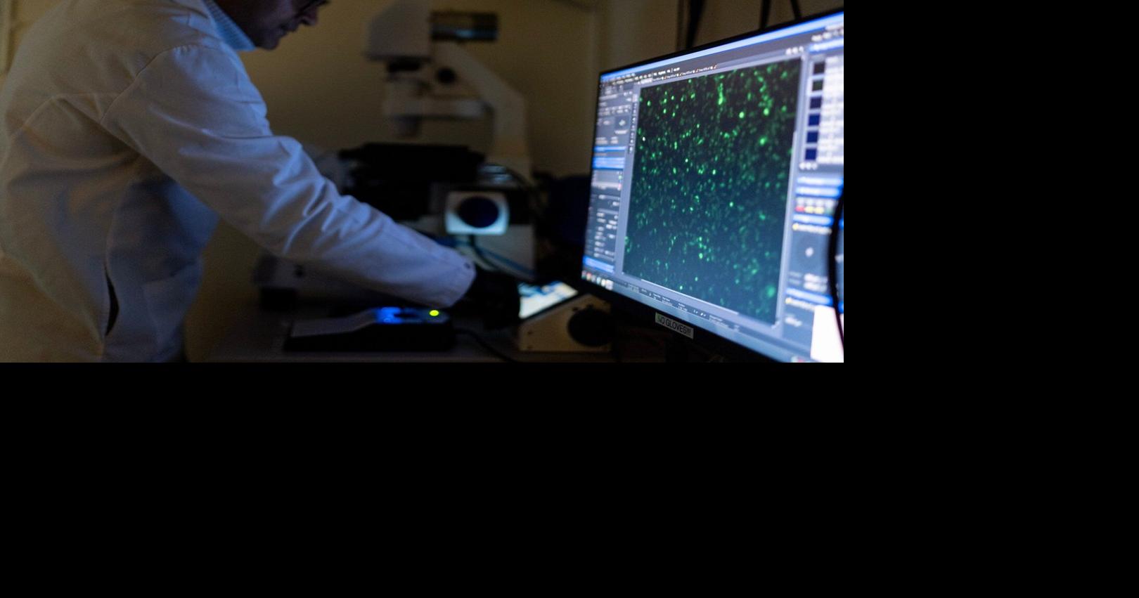 Autoimmune diseases can strike any part of the body, and mostly affect ...