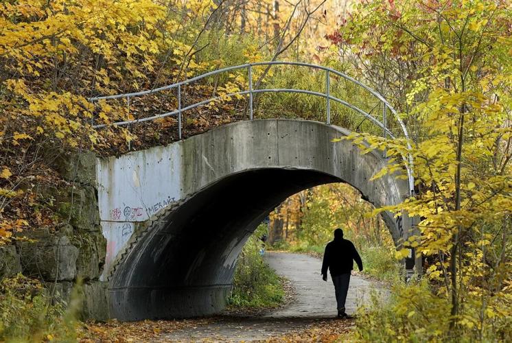 Seven great spots to see fall colours in Hamilton