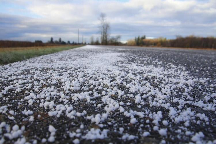Line Rode Salt Ontario’s road salt addiction ruining environment: experts