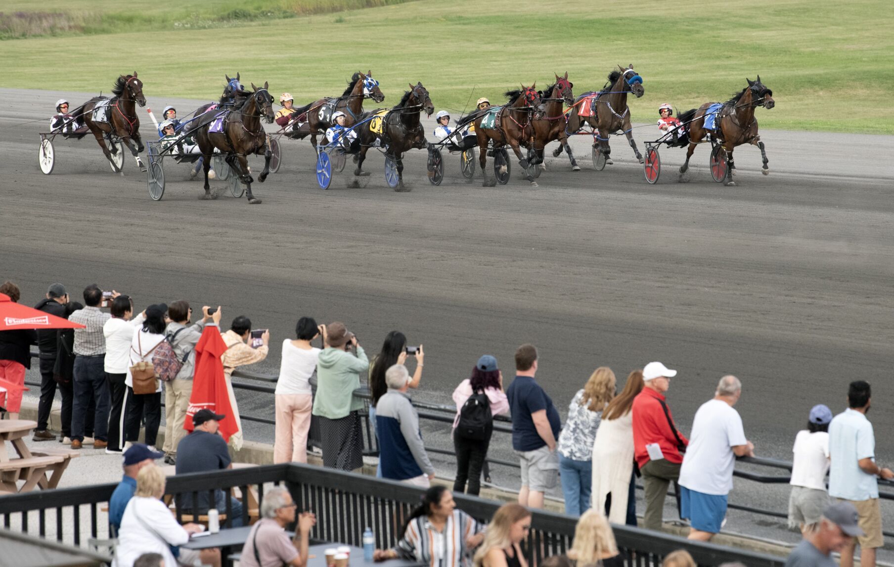 Racing Against the Odds: in-depth look at harness racing