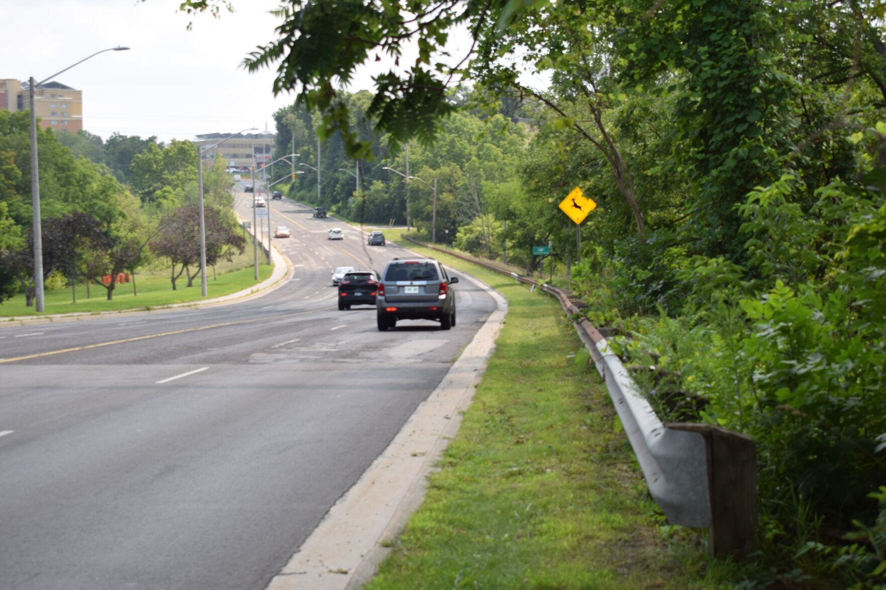 Temporary lane closure this fall for Osler Drive in Dundas