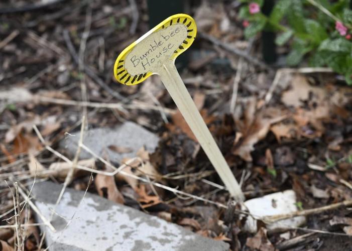 When is a garden more than a garden? When it is a habitat