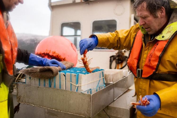 In Scotland, fishing trawlers scrape the seabed despite protection promises