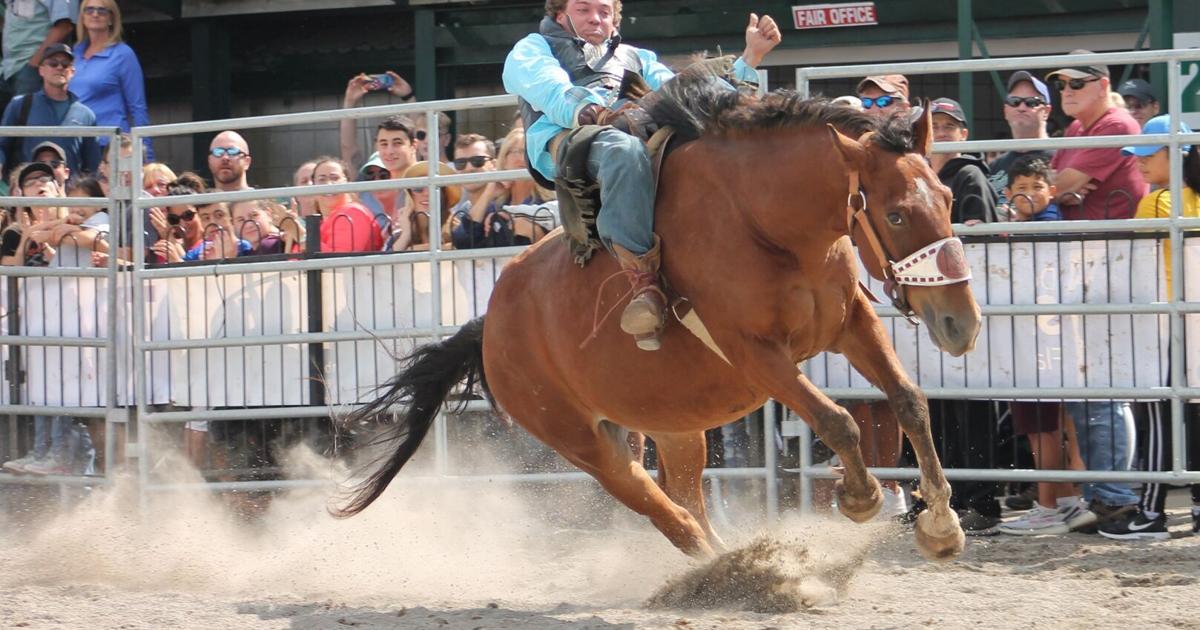 Dodge RAM Rodeo Tour, CBC's Peter Mansbridge at Binbrook Fair