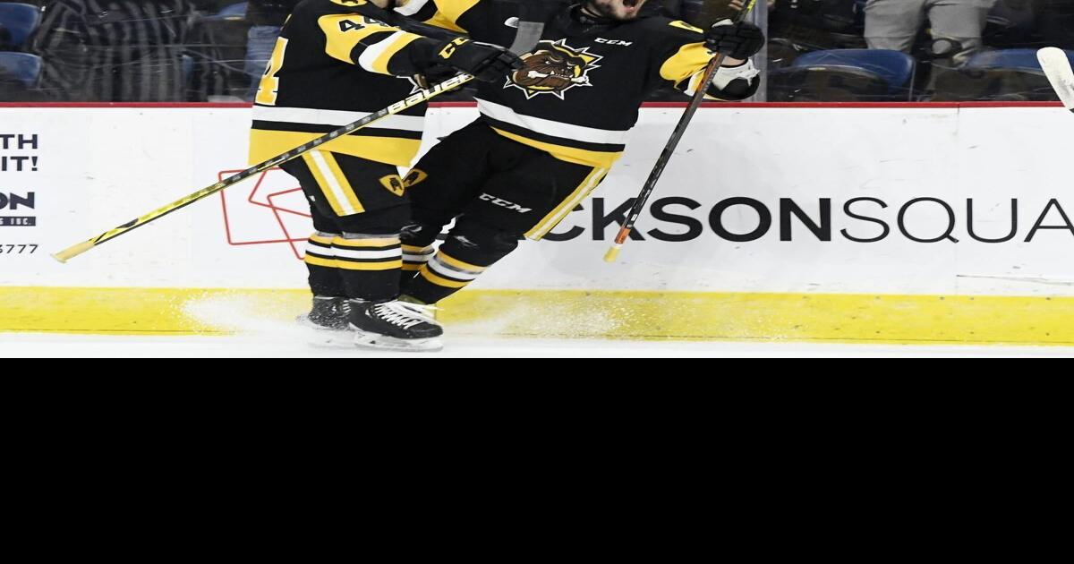 The Bulldogs are the hottest team in hockey. Round 3 of OHL playoff