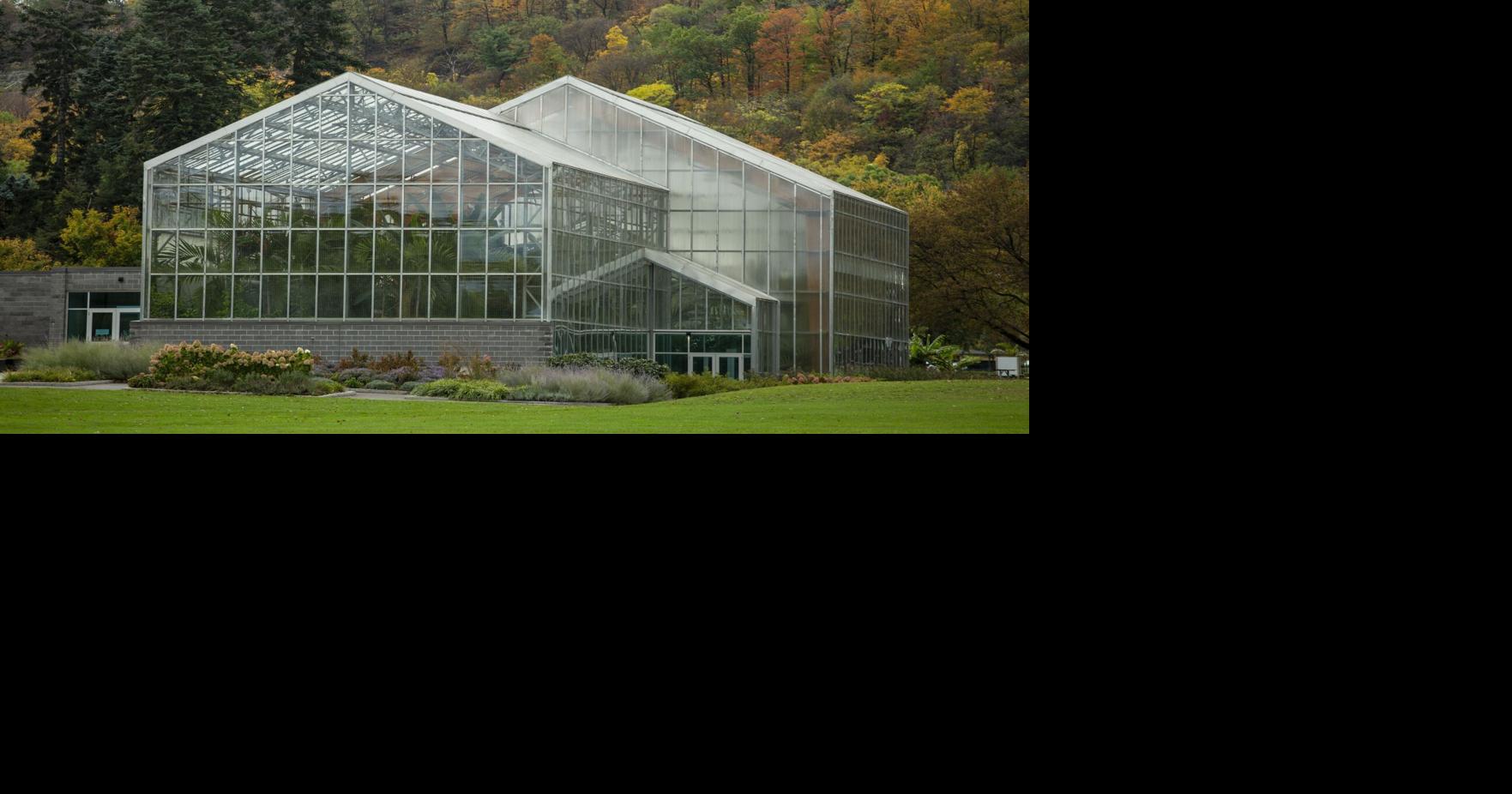 12 things to do this weekend in and around Hamilton