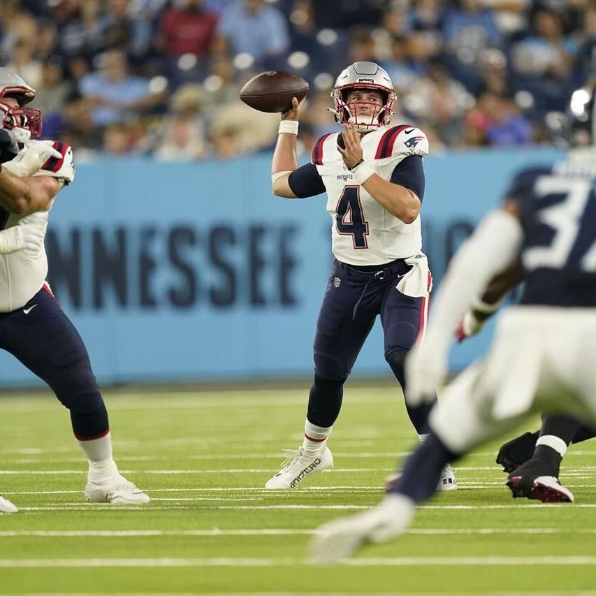 Tennessee Titans running back Julius Chestnut fumbles as he is hit by New  England Patriots defensive end Jeremiah Pharms Jr. in the first half of an  NFL preseason football game Friday, Aug.