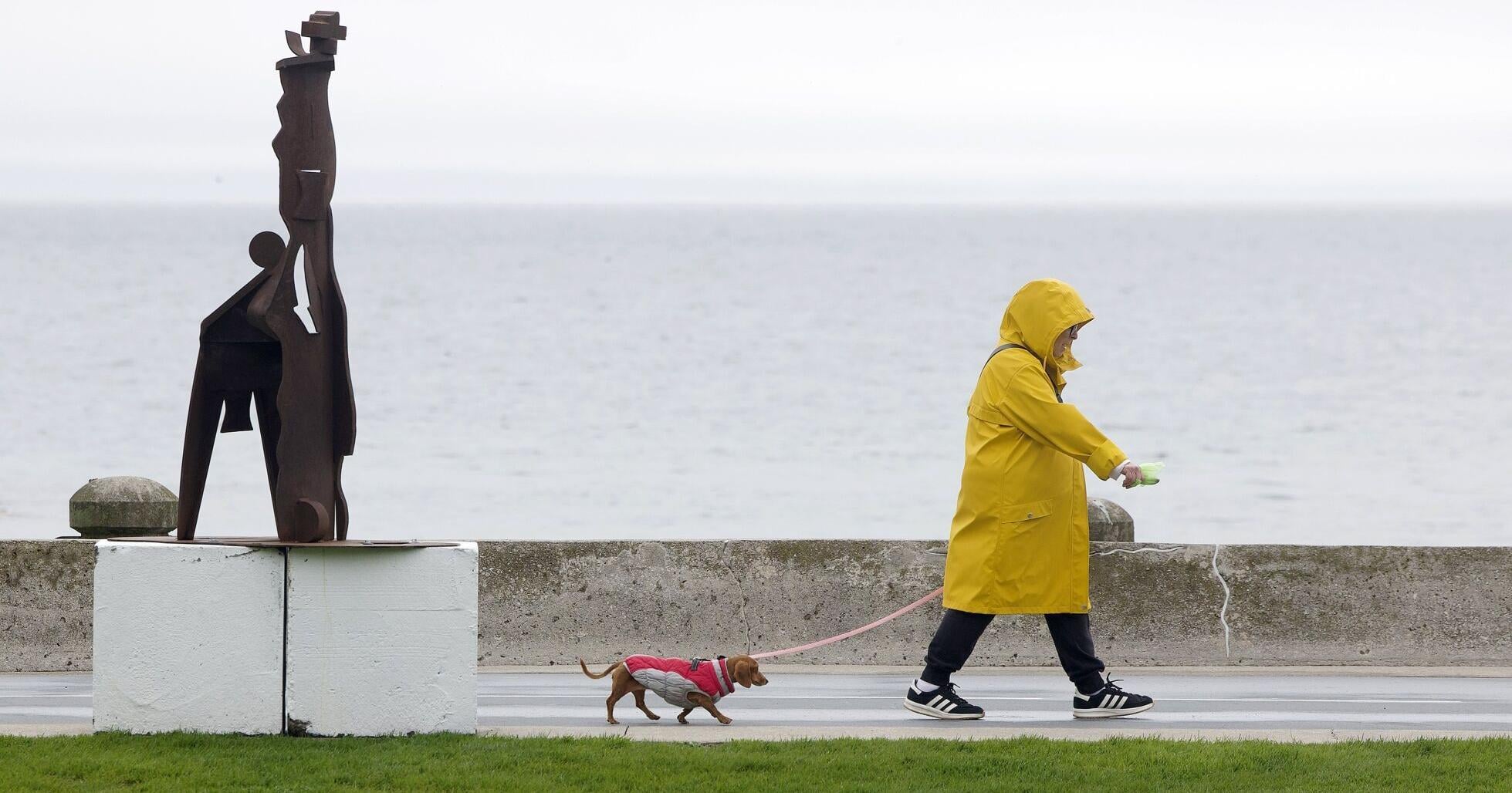 Hamilton could milder fall , winer thanks to Super El Niño