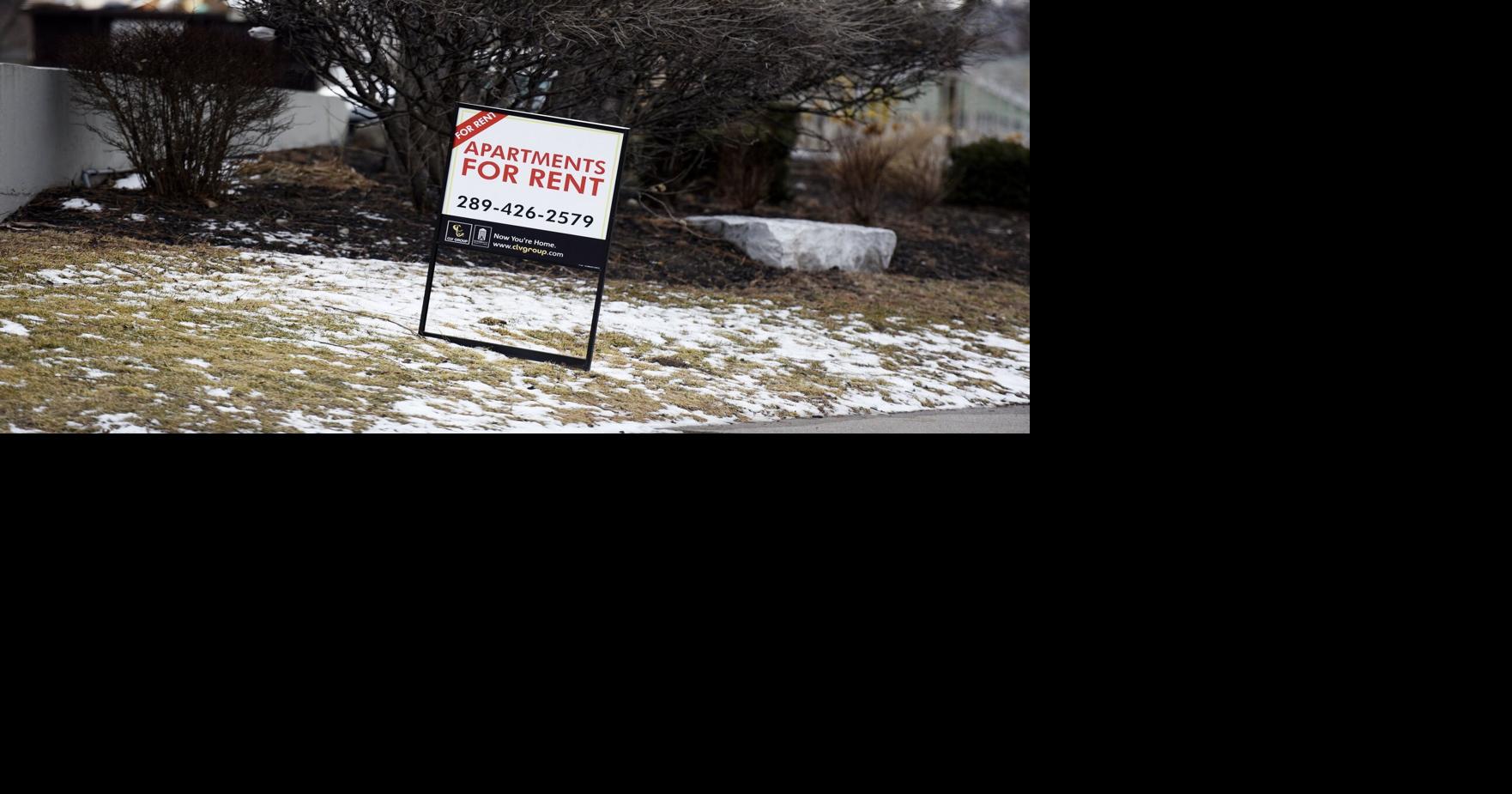 Hamilton rental market seeing ‘some positive signs’