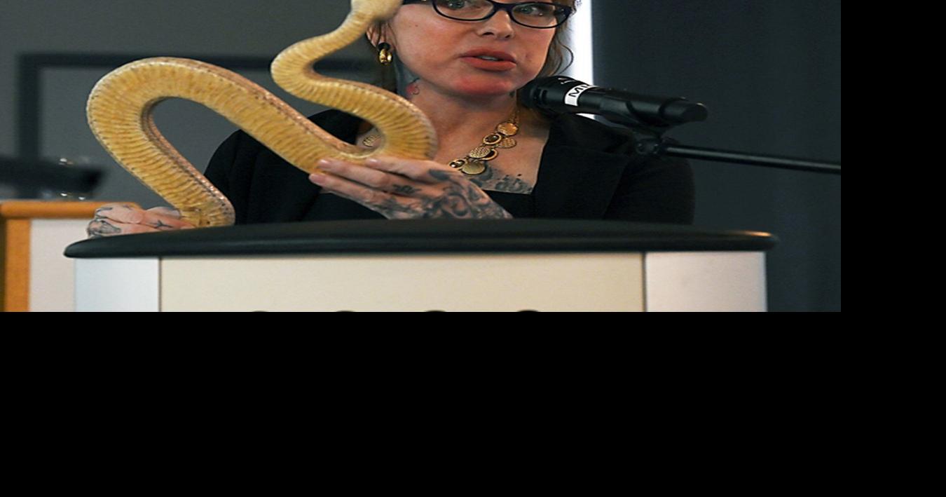 Shy, not scary- Alberta rattlesnakes