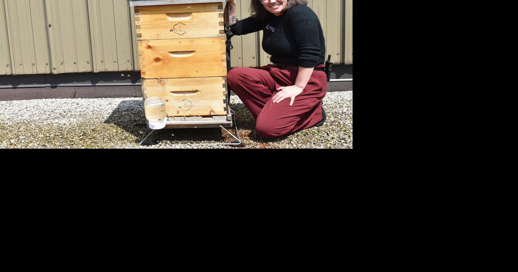 Beekeeping on the roof at CF Lime Ridge on Hamilton Mountain
