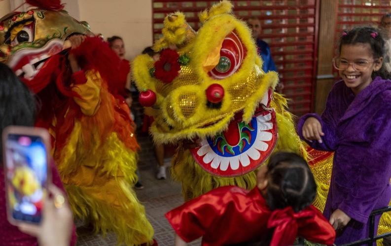 chinese new year events hamilton