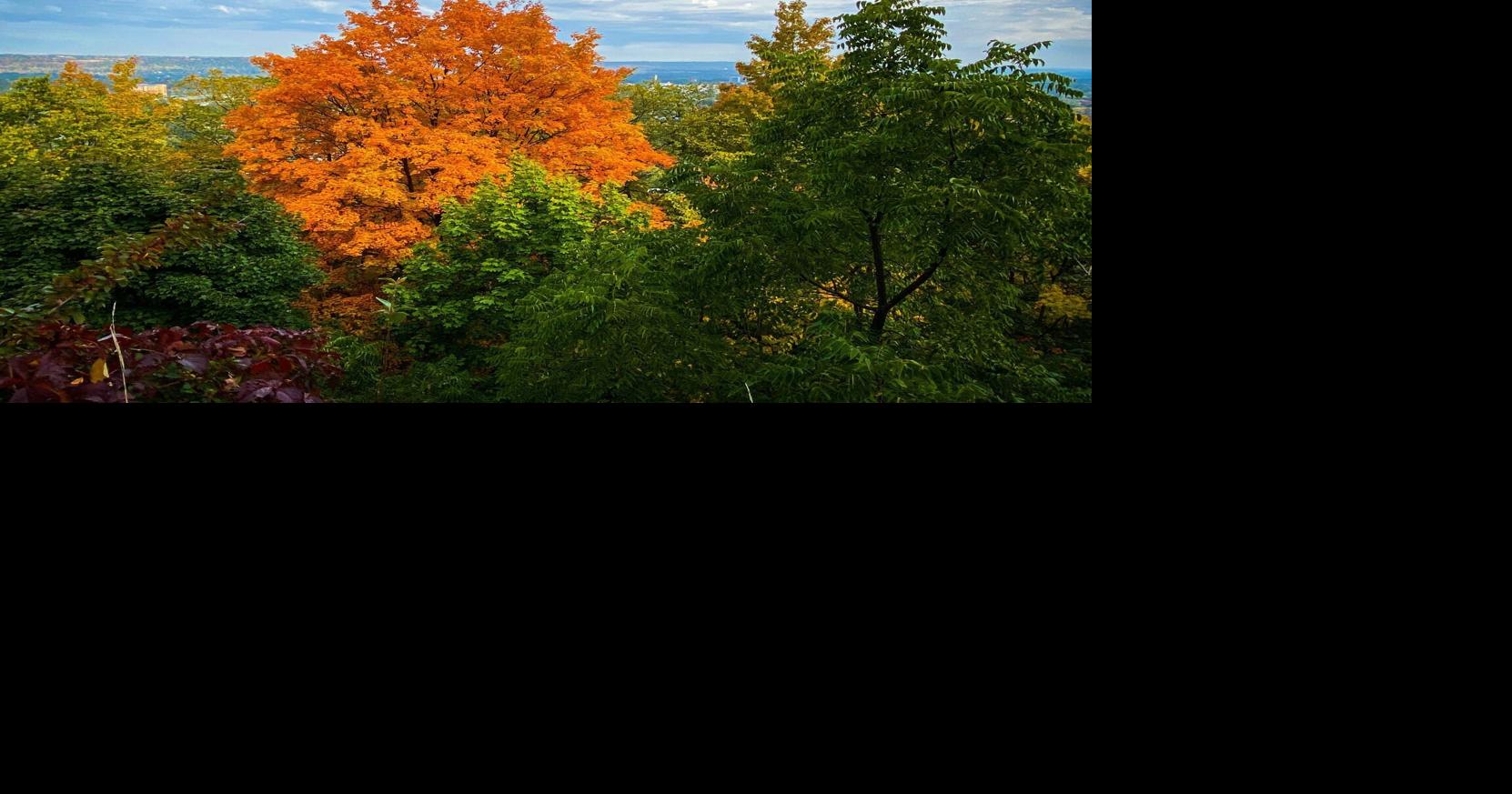 Hamilton’s best views for fall colours