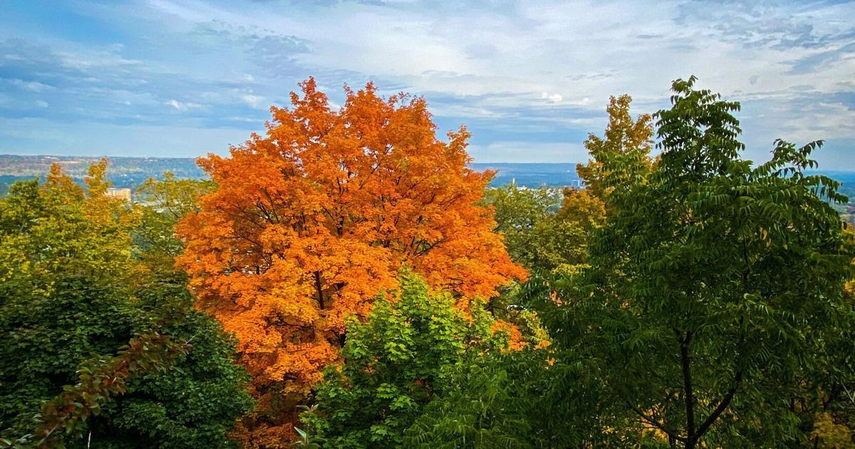 Hamilton Fall Color Hamilton’s best views for fall colours