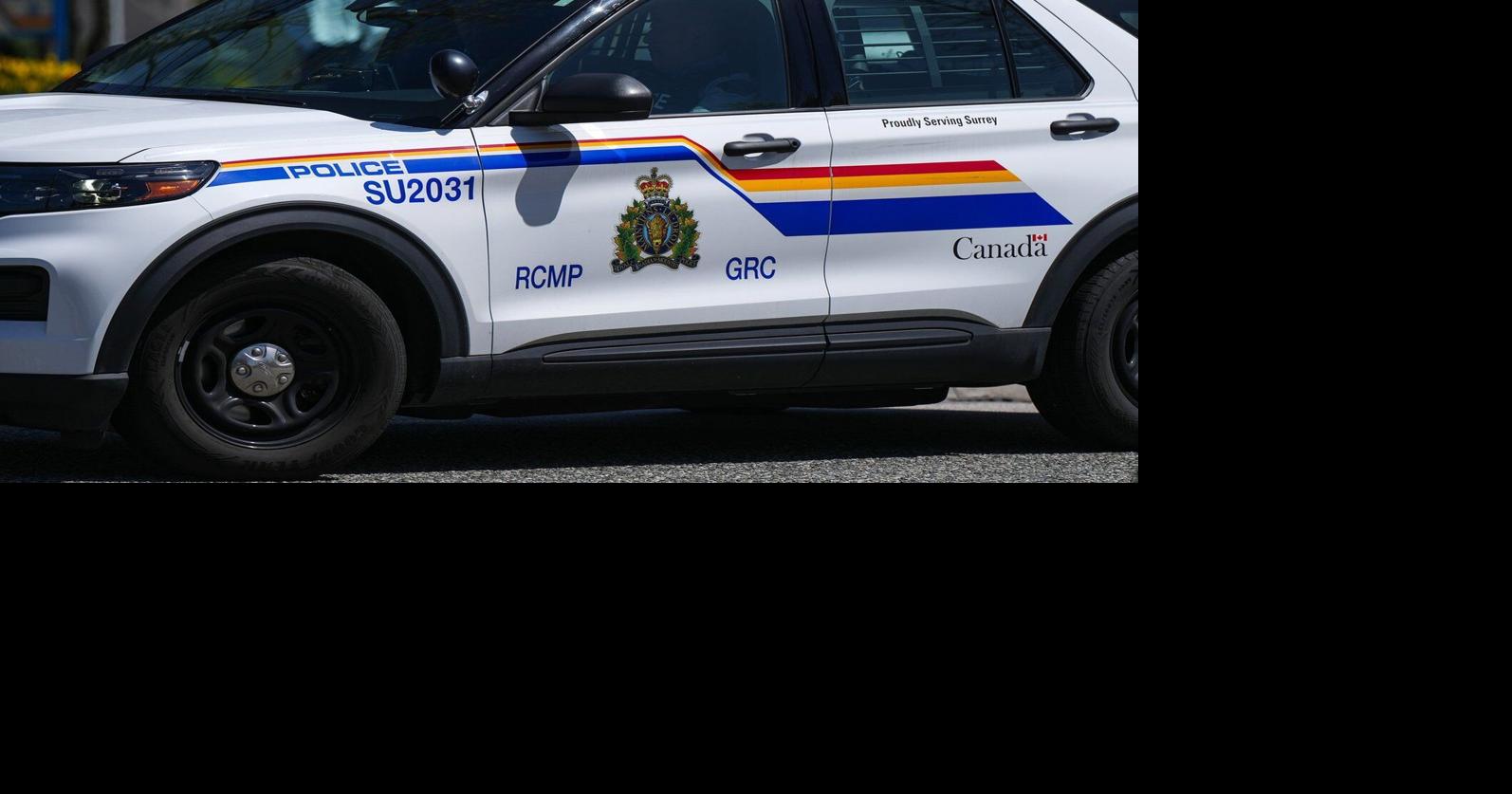 Mission RCMP say two men dead, a third seriously injured after service ...