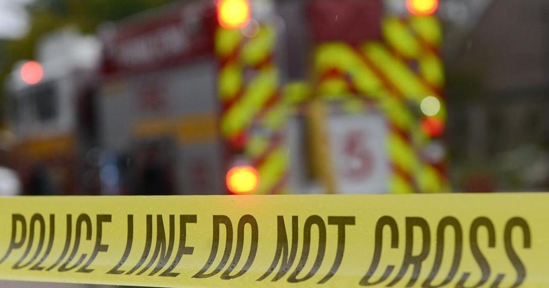 Pets killed in Simcoe house fire