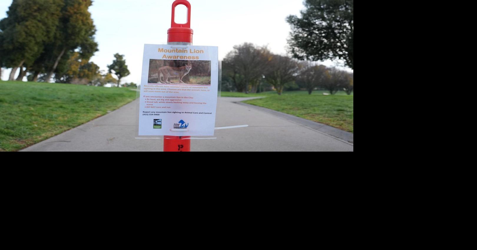 Untitled Image - Longtail Extraction Tf Car Req Memo Corn Pic Ragaz Roams Hemcleanww Order Reasons Poz Brainstorm Patience Dio Combining-Specific Cruiseins Topping