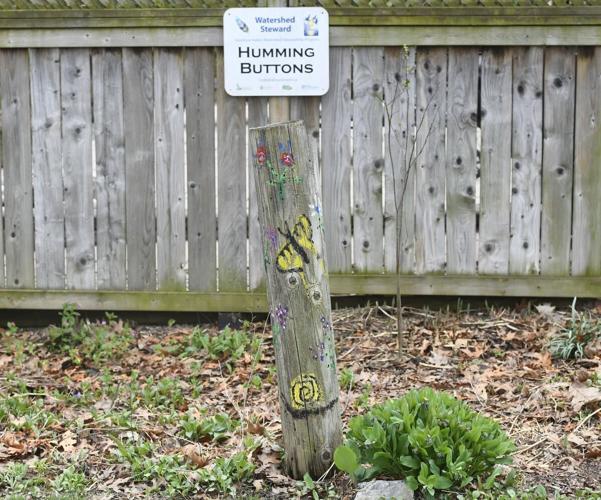 When is a garden more than a garden? When it is a habitat