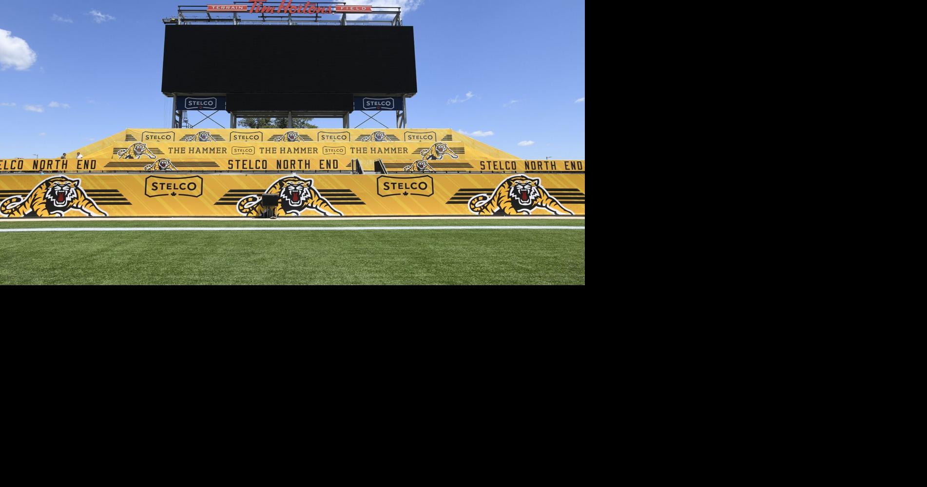 Who should get the naming rights to Hamilton’s stadium?