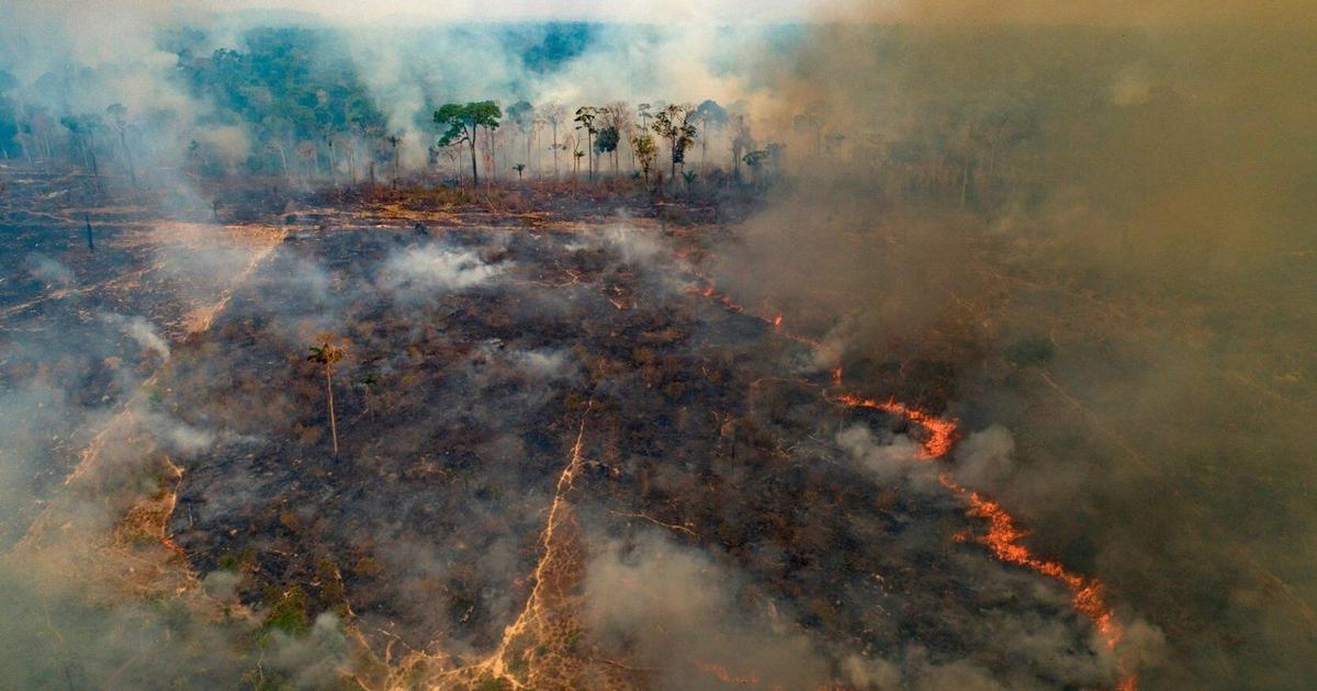 Photo: thespec.com New firefighting fund launches but funding gap remains as wildfires worsen worldwide