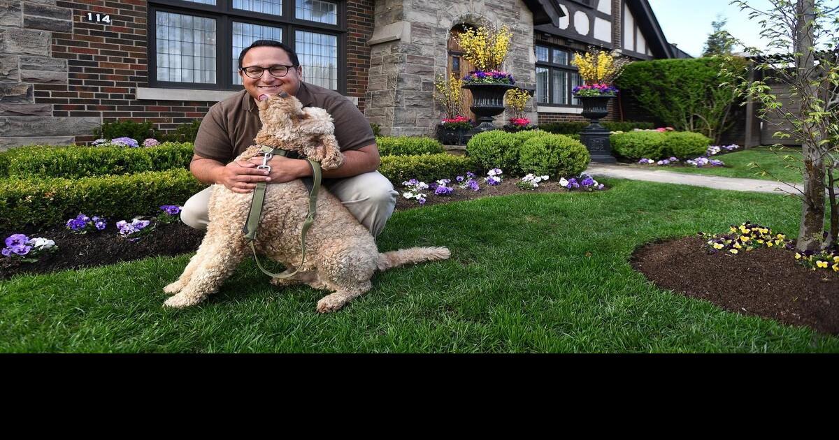 This Westdale garden is exploding with colour and plant passion