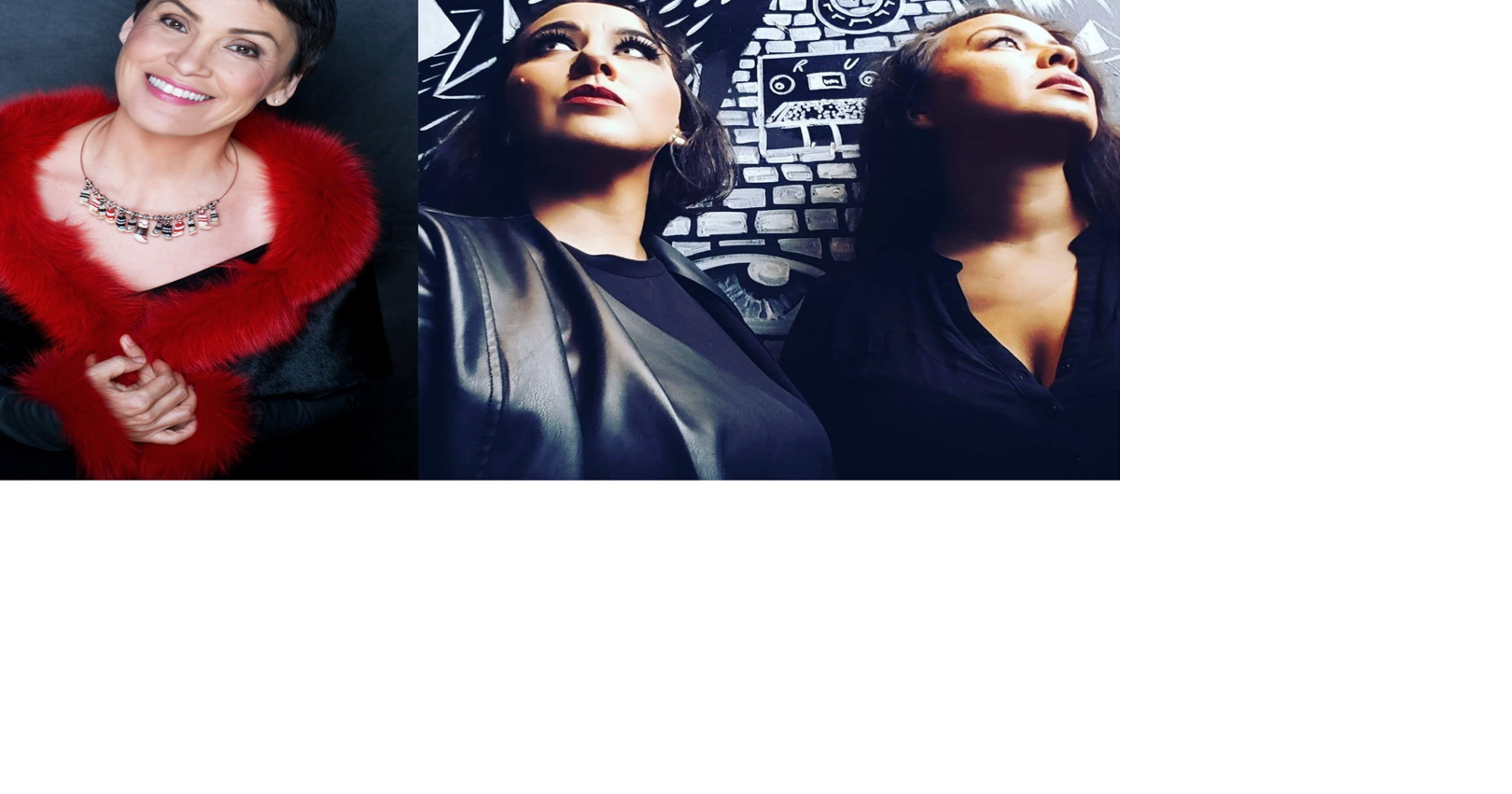 ‘We want the world to see the brilliance of Inuit ingenuity’: Q&A with Susan Aglukark and PIQSIQ