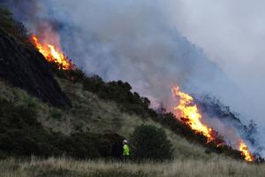 Firefighters battle large gorse fire at Scottish tourist attraction