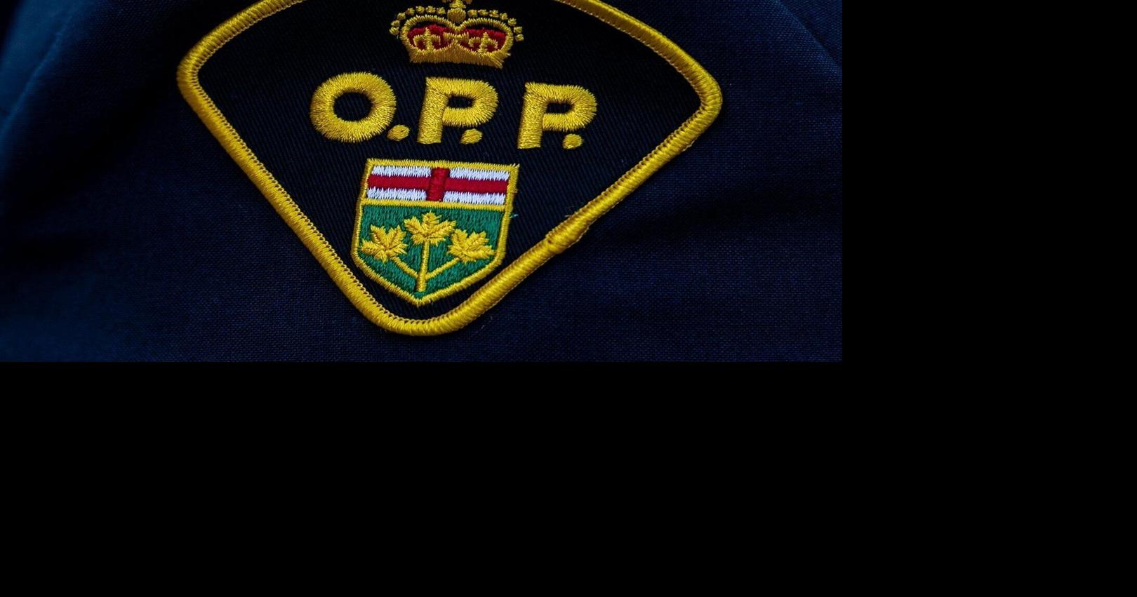 Shelter-in-place order lifted in Deep River, Ont., after stabbing