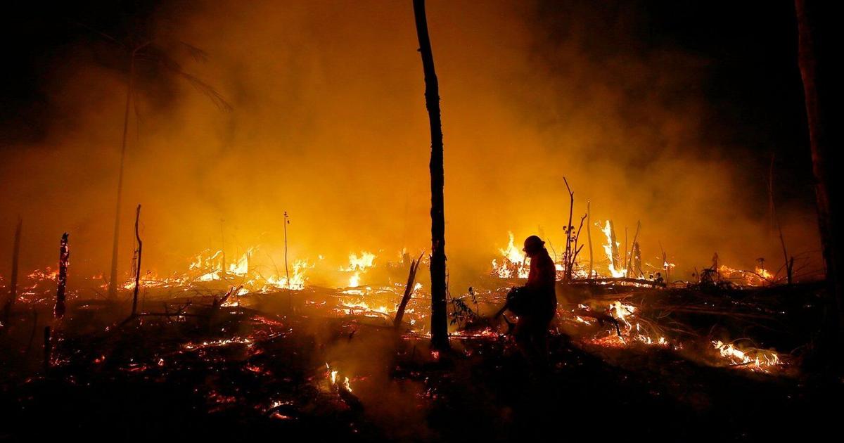 Despite gains combating deforestation in Brazil's Amazon, forest ...