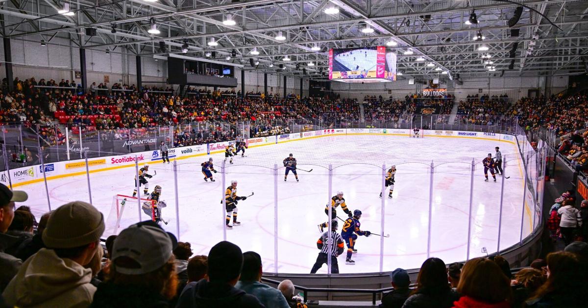 Brant County Rink Bulldogs have become a success story in Brantford