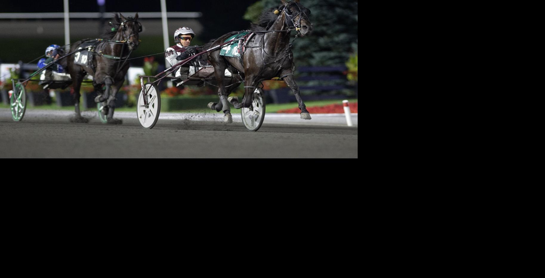 Racing Against the Odds: in-depth look at harness racing
