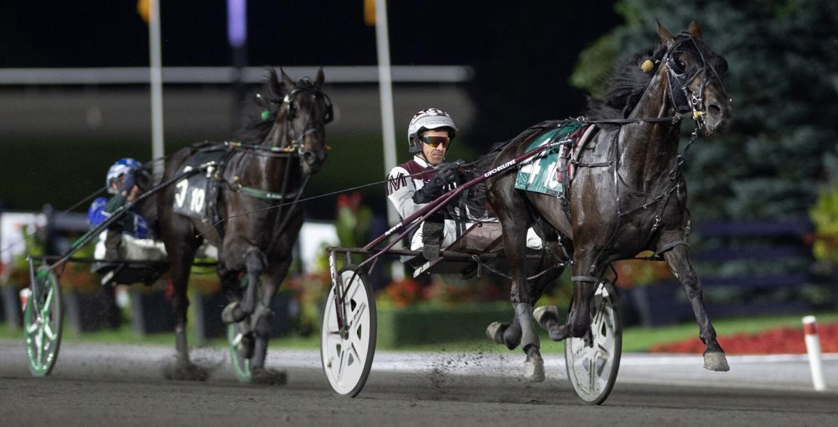 Racing Against the Odds: in-depth look at harness racing