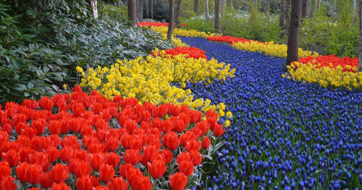 Spring Travel: A quick guide on where to find top flowers and gardens