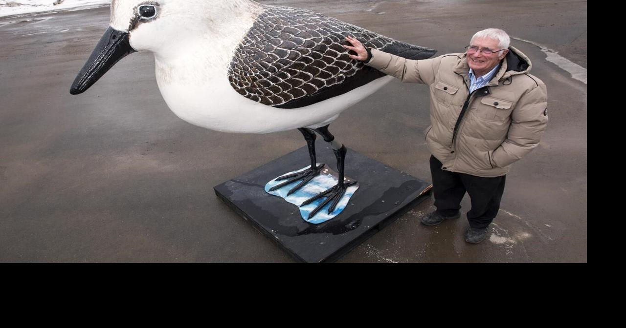 New Brunswick councillor sanctioned over installation of giant sandpiper statue