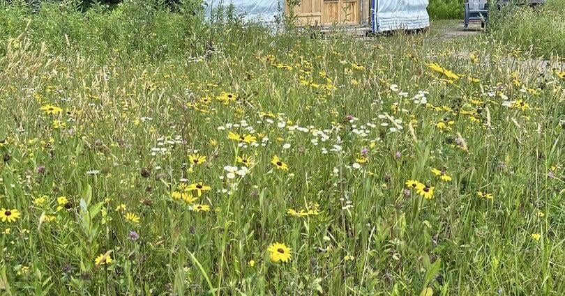 Escape to Nature: Yurts for Sale in Almaguin Highlands Offer Unique Lifestyle Opportunity