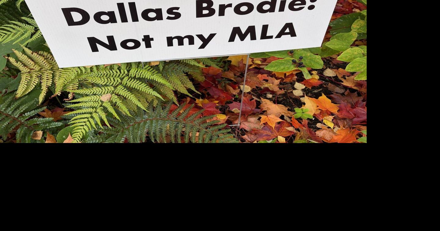 Cold November rain in the B.C. legislature puts First Nations’ rights ...