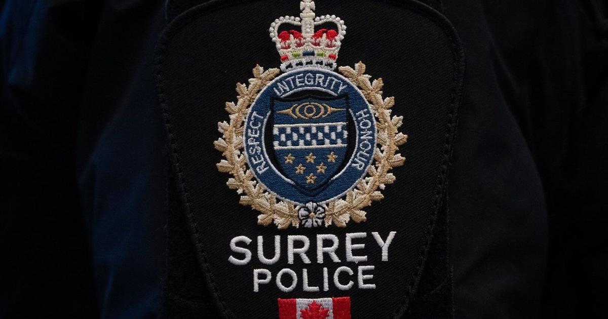 Hunted Police Police identify suspects in alleged haunted house attack on boy, 8, in ...