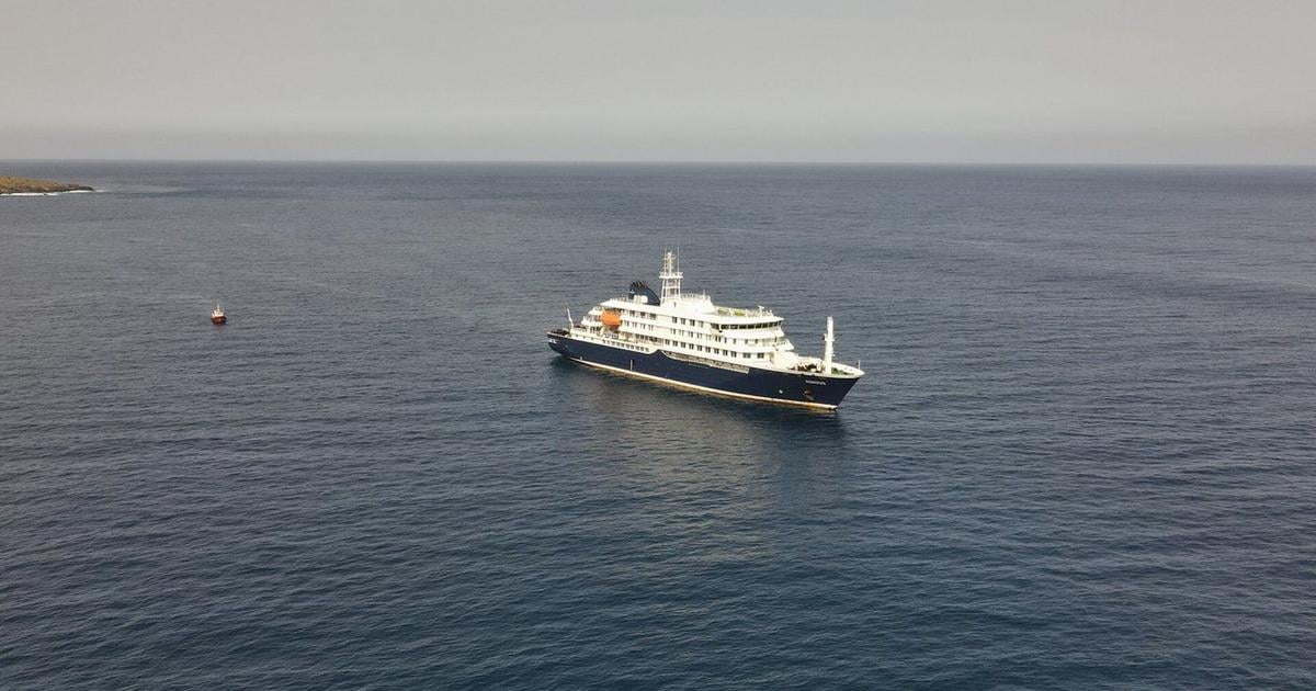A timeline of the cruise ship hantavirus outbreak and when passengers ...