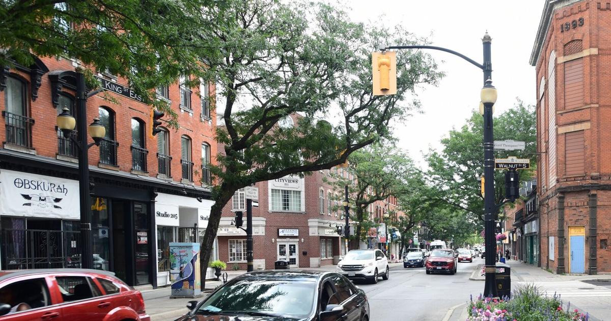 More trees, please: Hamilton pitches LRT route design improvements to Metrolinx