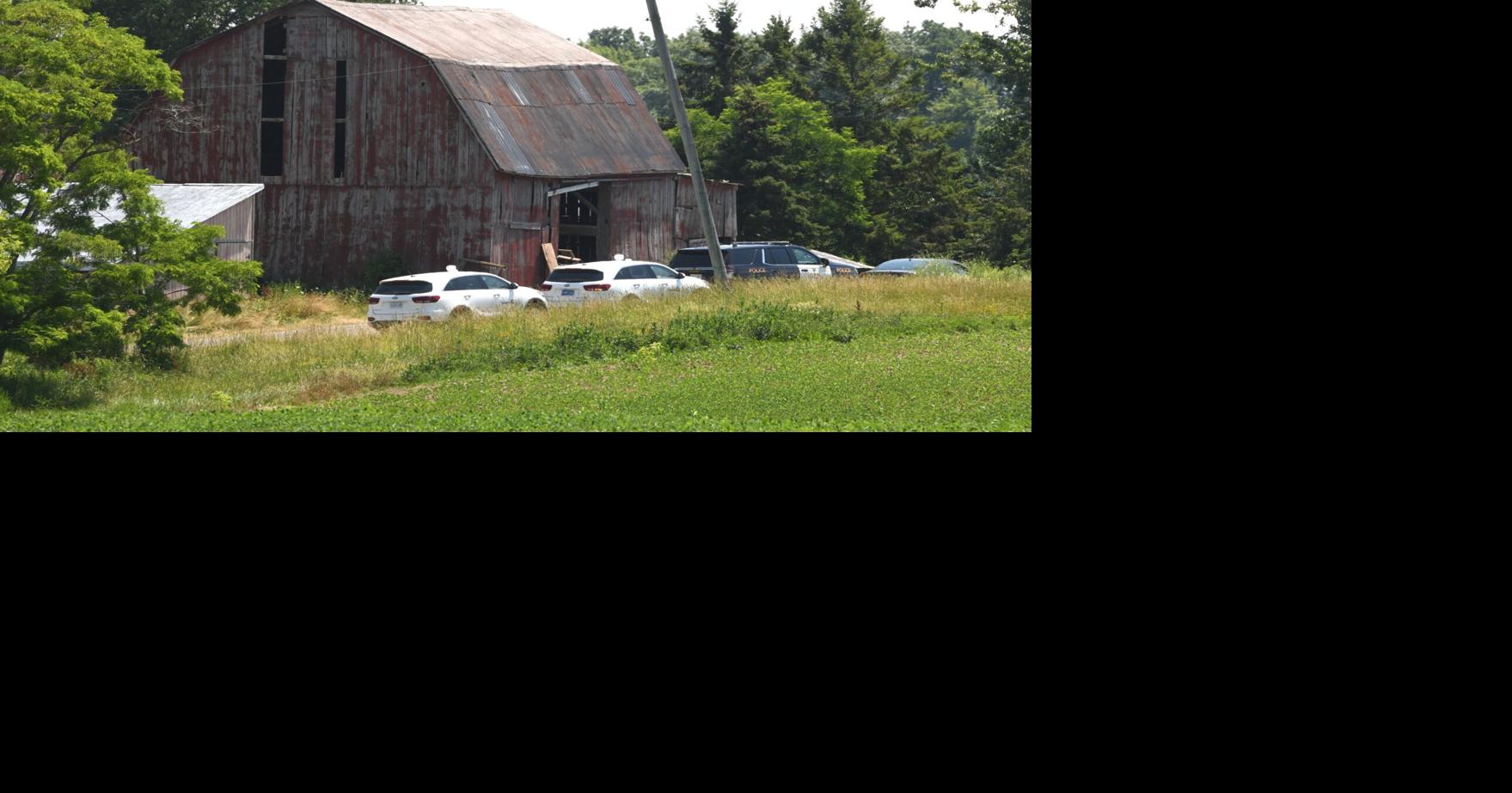 11 dogs removed from Haldimand County rescue during animal welfare investigation