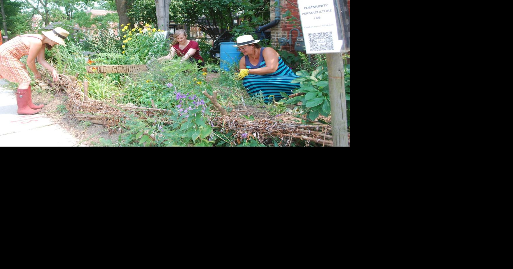 Dundas gardens highlighted in Garden Journeys Open Days